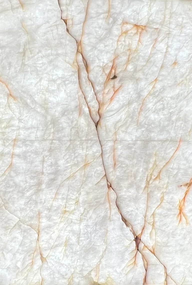 Dried plant stem or root with thin brown veins spreading across a light textured background